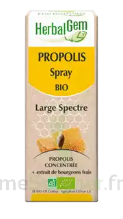 Herbalgem Propolis Large Spectre Solution Buvable Bio Spray/15ml à LIEUSAINT